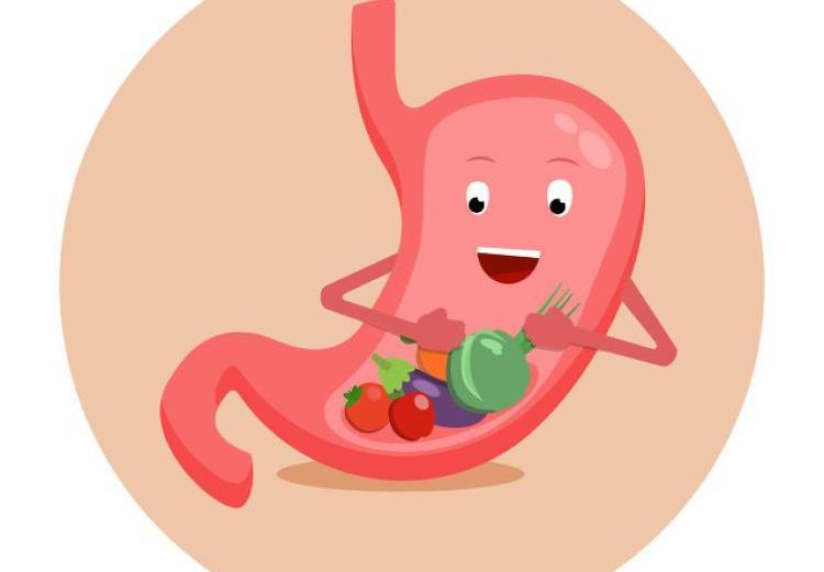 胃粘膜病变胃胀反酸吃什么中药调理比较好？