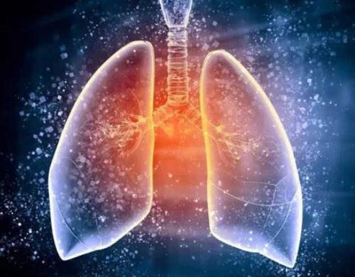治疗肺癌术后调理体质提高免疫力厉害的中药方