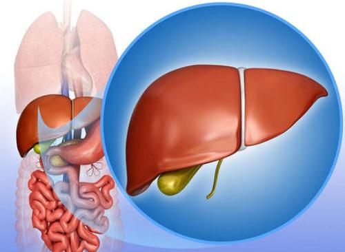 慢性乙型病毒性肝炎腹痛胃口差乏力吃什么中药效果好？