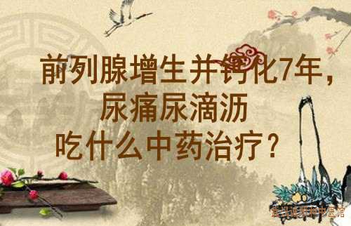 前列腺增生并钙化7年，尿痛尿滴沥吃什么中药治疗？