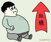 武汉治疗三高有名内科专家罗天禄：Ⅱ型糖尿病血糖高伴形体肥胖易乏力怎