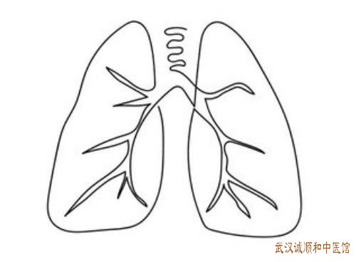 肺部气血虚损总是咳嗽气促气短乏力自汗吃什么中药有效?