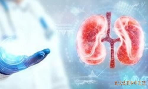 全身水肿胸闷食欲不振特发性膜性肾病中医怎么辨证论治?