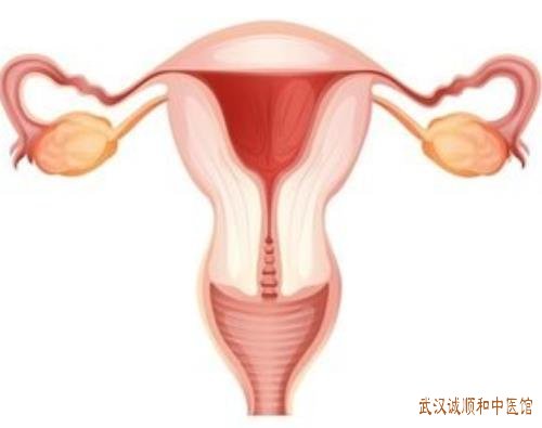 武汉地铁2号线附近妇科名中医：子宫内膜异位症中医治疗有何优势?