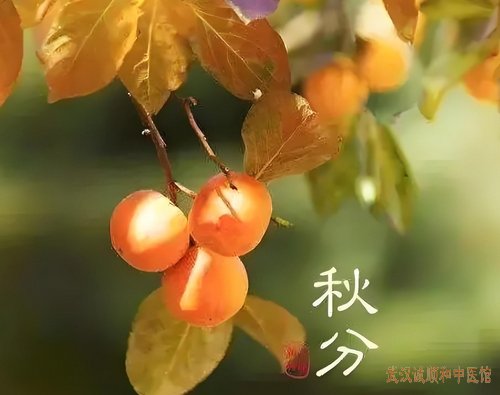 今日秋分｜秋分节气健康指南：多温多润，调和脾胃，全方位防病方案！