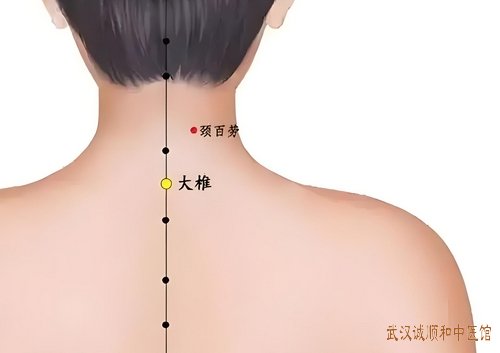 今日秋分｜秋分节气健康指南：多温多润，调和脾胃，全方位防病方案！