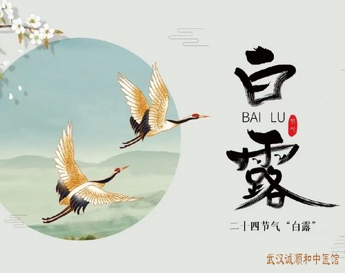 今日白露|秋燥易伤肺,养生重“润”与“藏”