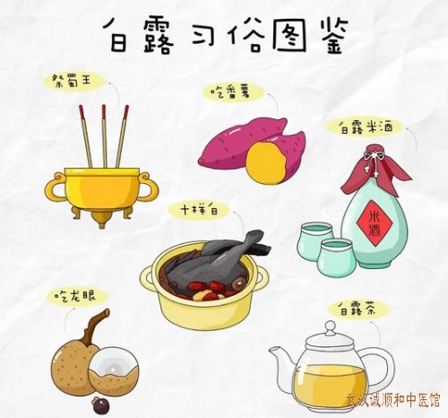 今日白露|秋燥易伤肺,养生重“润”与“藏”