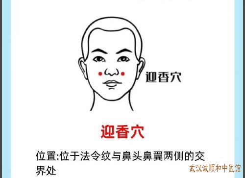 今日白露|秋燥易伤肺,养生重“润”与“藏”