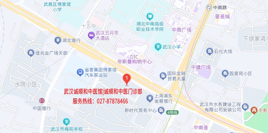 武汉诚顺和中医馆交通路线