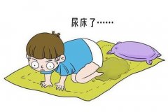 小儿患有遗尿症每晚尿床2-3次吃什么中药可以调理好？