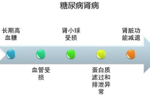 糖尿病肾病小便泡沫增多尿蛋白2+吃什么中药能调理好？