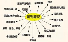 慢性前列腺炎早泄腰痛尿频吃中药好还是西药好？徐长化教授：辨证论治有