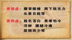 肾虚阳痿腰酸背痛疲乏无力吃什么中药能调理好？