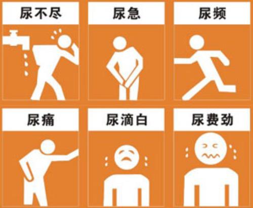 慢性前列腺炎小腹胀痛肛门和会阴部坠胀2年了反复发作怎么办？