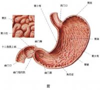 武汉肠胃病治疗专家张压西：十二指肠球炎上腹疼痛呕吐黑便吃什么药好？