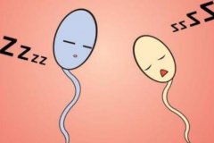 武汉看男性不育经验丰富的老中医王垚：弱精症精子活动率低引起不育腰酸