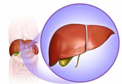 武汉比较好的男科中医王垚：肝胆湿热晨起腰痛阴囊潮湿引起阳痿睡不好觉