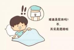 武昌街道口中医男科门诊专家王垚：放纵不节肾水枯涸遗精半年自服肾气丸