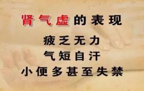 婚后肾气虚整夜失眠头晕腰膝酸软阳痿不举一年用什么中药方有效果？