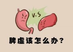 武汉调理脾胃专业的中医王垚：脾虚引起腹胀痛饭后加重身体乏力怎么治疗
