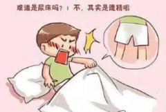 武汉中医泌尿男科专家鲁本堂：梦遗频繁每天晚上梦中泄精胸闷心烦尿频怎
