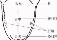 武汉治疗比较好的中医门诊诚顺和鲁本堂：肝胆湿热引起阳痿举起不坚阴囊