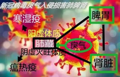 中医认为新冠疫情主要是由于寒湿导致的