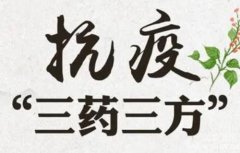 治疗新冠病毒肺炎的“三药三方”中药抗疫方案中三方是是哪三个中药方子