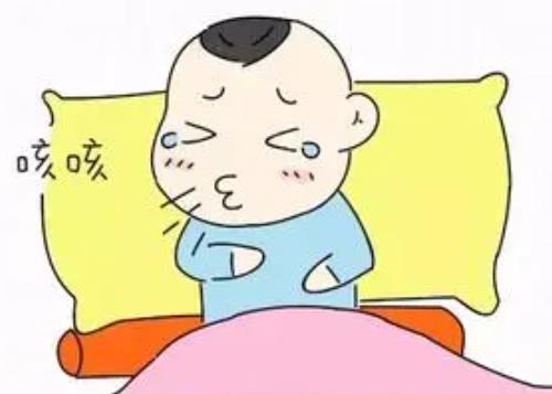 为什么一到秋季就频频咳嗽?这3款秋季养肺润肺的食疗方送给你