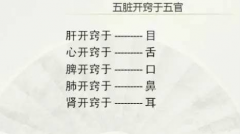 中医养生常识之五脏与七窍的关联，如何通过外在变化而预见内里健康问题