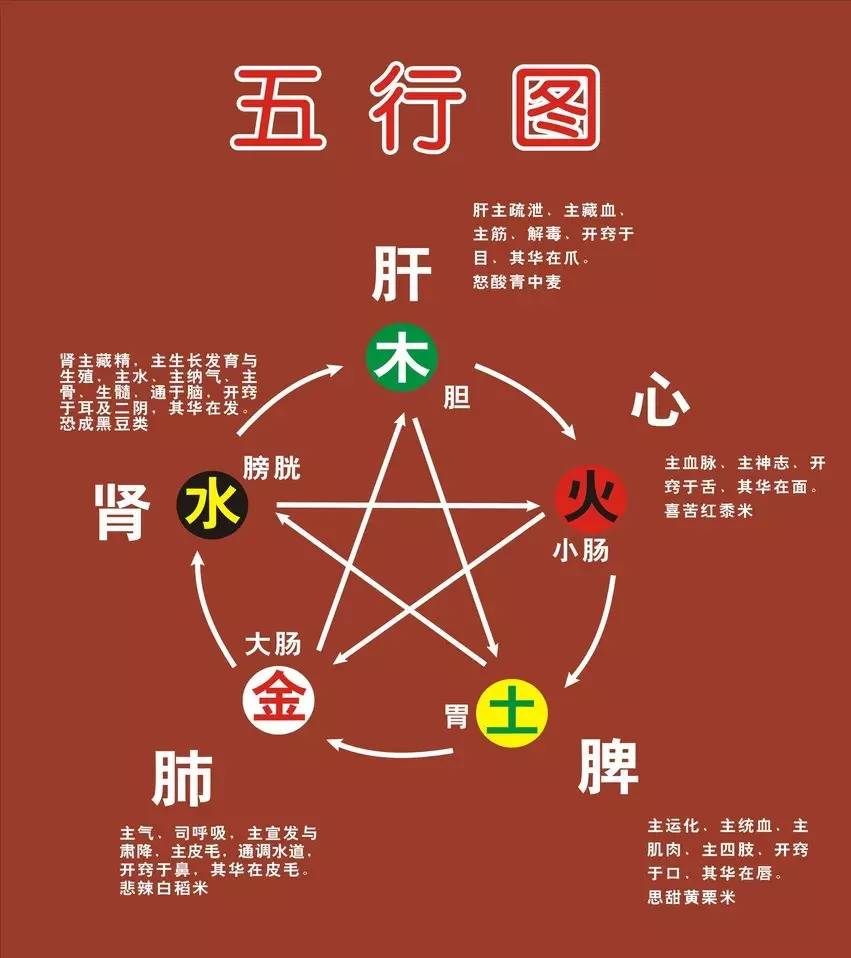 五脏与七窍的联系