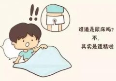 武汉中医男科专家门诊鲁本堂：婚后3年不育每周遗精2-3次早泄头晕用什么中