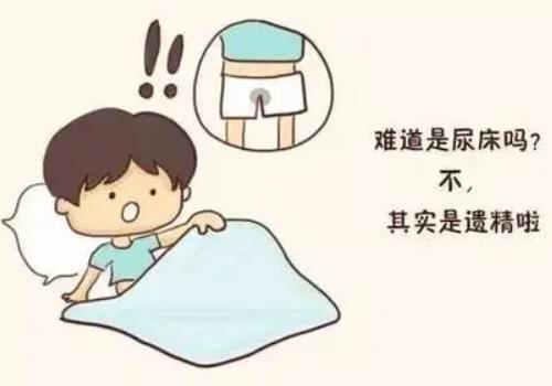 婚后3年不育每周遗精2-3次早泄头晕用什么中药方治？
