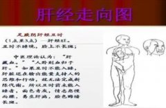 武汉男科医院名老中医专家门诊鲁本堂：一个治疗湿热蕴结肝经所致阳痿勃
