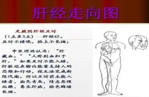 一个治疗湿热蕴结肝经所致阳痿勃起无力的中药方