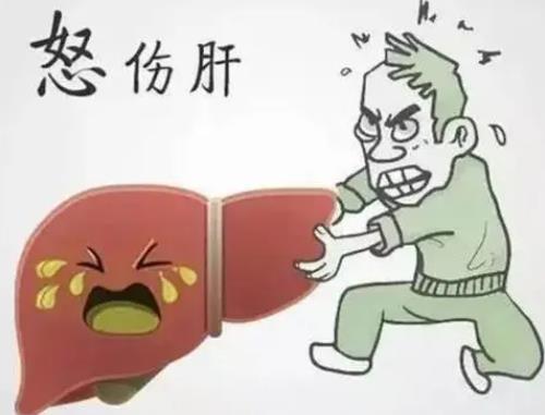 急躁易怒常无故发怒与人争执失眠睡不好觉头痛用什么中药能调理好？