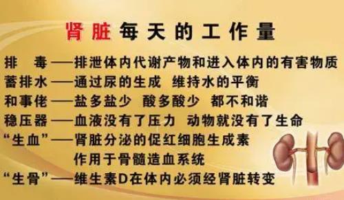 武汉名老中医李家发教授：慢性肾功能不全腰酸胸闷，肌酐122用什么中药能调理好？