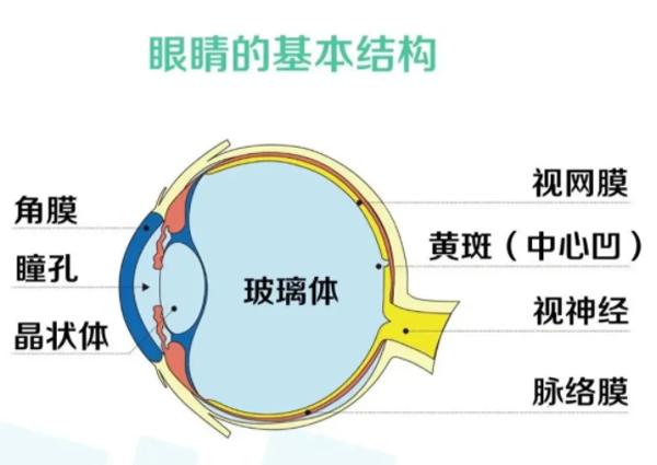 视神经萎缩有哪些症状？