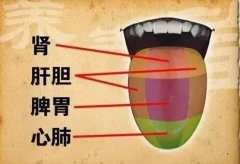 武汉中医男科专家鲁本堂主任：早泄每次不足1分钟，口苦腰痛怕冷怎么调理