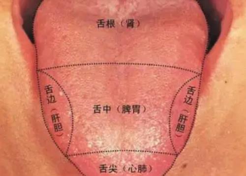 武汉中医内科老专家李家发教授：慢性浅表性胃炎半年，口干舌燥晨起加重怎么办？