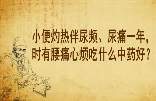 武汉老中医门诊部徐长化教授：小便灼热伴尿频、尿痛一年，时有腰痛心烦吃什么中药好？