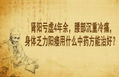 武汉老中医鲁本堂：肾阳亏虚4年余，腰部沉重冷痛，身体乏力阳痿用什么中