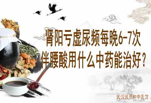 肾阳亏虚尿频每晚6-7次伴腰酸用什么中药能治好？