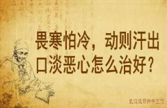 《向贤德治疗疑难杂症的经验》作者向贤德教授：畏寒怕冷，动则汗出口淡