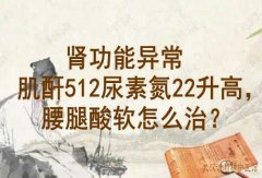 武汉肾病科老中医向贤德教授：肾功能异常肌酐512尿素氮22升高，腰腿酸软