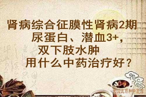 徐长化教授：肾病综合征膜性肾病2期尿蛋白、潜血3+，双下肢水肿用什么中药治疗好？