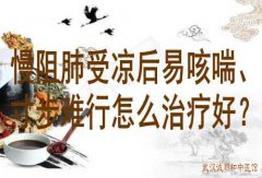 原湖北中医学院方剂教研室主任李家发教授：慢阻肺受凉后易咳喘、寸步难