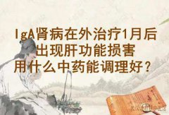 武汉老中医向贤德教授：IgA肾病在外治疗1月后出现肝功能损害用什么中药能