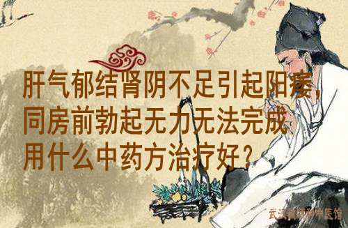 肝气郁结肾阴不足引起阳痿，同房前勃起无力无法完成用什么中药方治疗好？